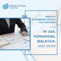 Monthly accounting services for companies in USA, Hong Kong, Malaysia, and other countries